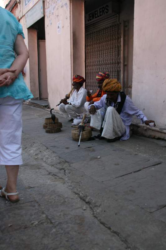 India & Nepal 2011 - 1361